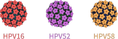 南宫28官方入口：守护女性健康！九江这些地点可预约接种HPV疫苗→(图2)